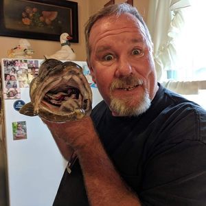 Meet your Posher, Dorothy